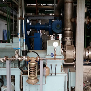 Sodium bromide wastewater material ZQN&MVR-1000 evaporator project